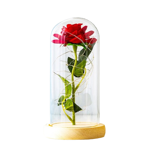 Valentines Day Gift for Girlfriend Eternal Rose LED Light Foil Flower In Glass Cover Mothers Day Wedding favors Bridesmaid Gift